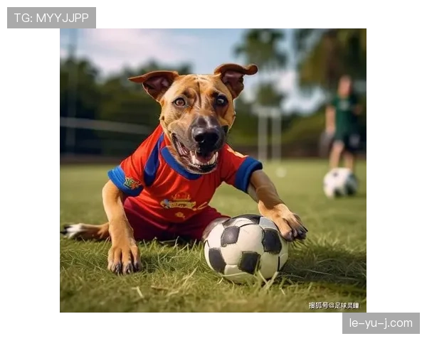 西班牙队欧洲杯重拾传控魅力，状态回暖引关注