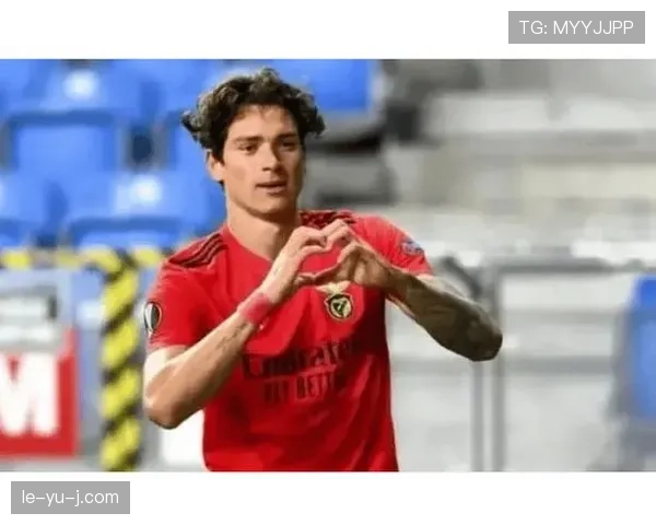 努涅斯射门不稳定:终结效率与机会把握能力分析 努涅斯射门不稳定:终结效率与机会把握能力分析