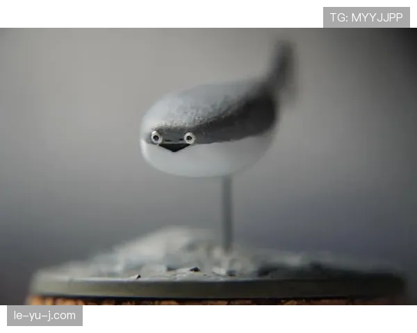 萨卡居然一天三顿牛排？这生活画风我跟不上了吧！